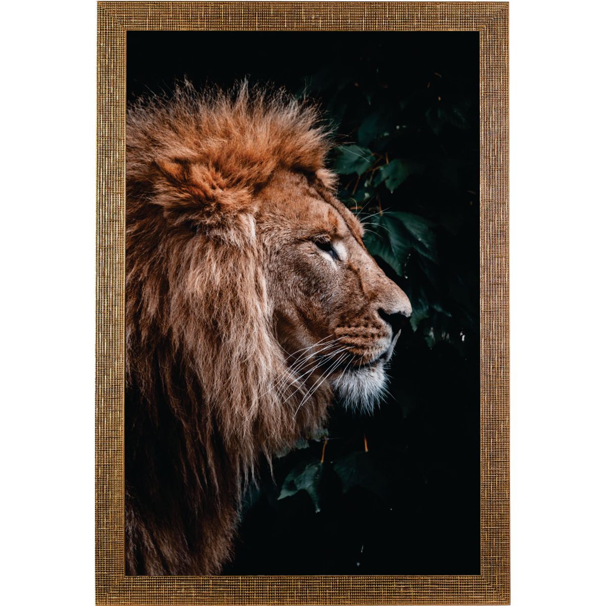 Quadro-60x90-Com-Moldura-Larga-Leao---Marrom-Ref-444-113---Art-Frame-0