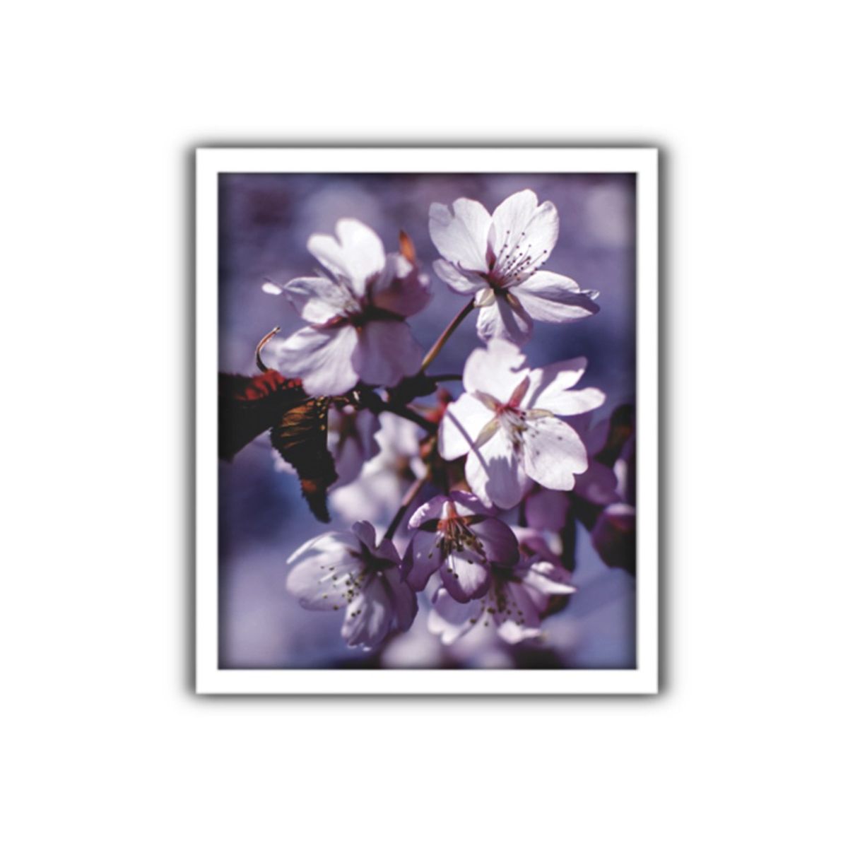 Quadro-Decorativo-50x60-Sortido---Textil-J-Serrano-7