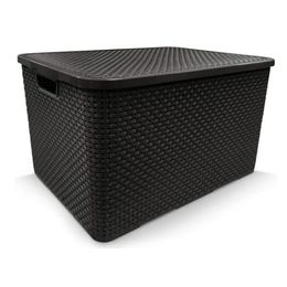 Organizador-Rattan-Com-Tampa-7-0-Litros-Preto---Toyplast-0