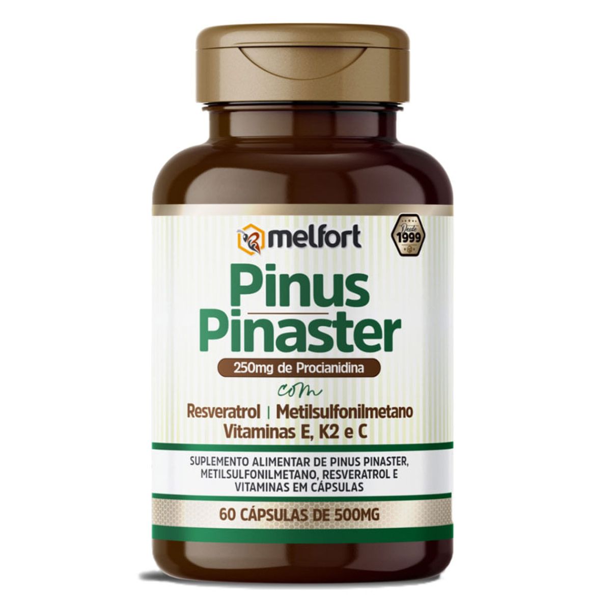 Pinus-Pinaster-500mg-60-C-psulas---Melfort-0