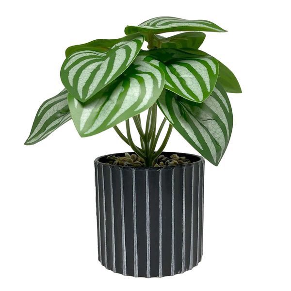 Vaso-Com-Planta-Folhagens-My-Garden-Canelado-Cinza-10x19-Plastico---Mai-Home-0